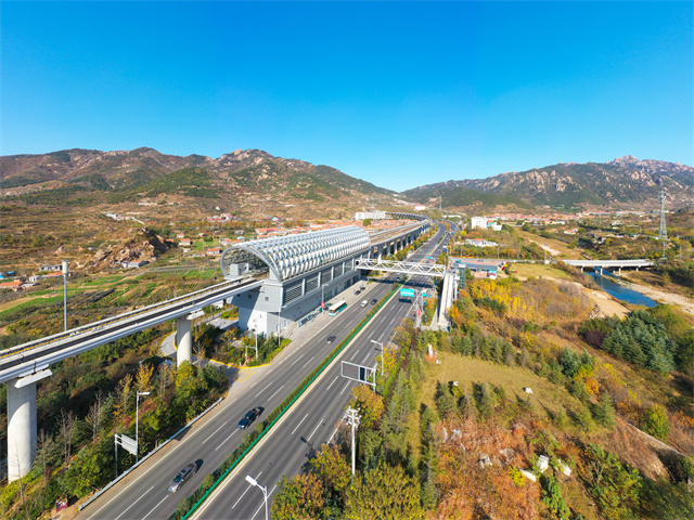  지하철 경전철 보행자 교량 프로젝트